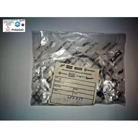 Segmento raschiaolio 69x2 dna 180 runner 180 hexagon 180 originale piaggio 487883