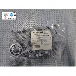 Cuscinetto originale piaggio Fly liberty zip vespa lx primavera sprint 50 originale piaggio 96925R