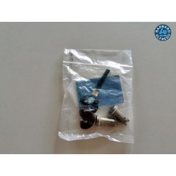 Gruppo cilindretti Beverly Fly Liberty originale piaggio 576825