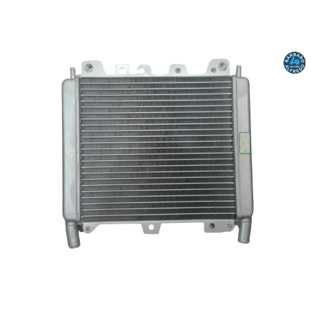 RADIATORE ACQUA PIAGGIO BEVERLY 250 300 350 400 500 ORIGINALE PIAGGIO 656528