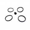 Kit Revisione Pinza Freno Sfera2 50 125 RST grimeca originale piaggio 498850