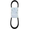 CINGHIA LIBERTY 50 2T 4T TYPHOON FLY DNA SCARABEO ORIGINALE PIAGGIO 480852 - 1A013579