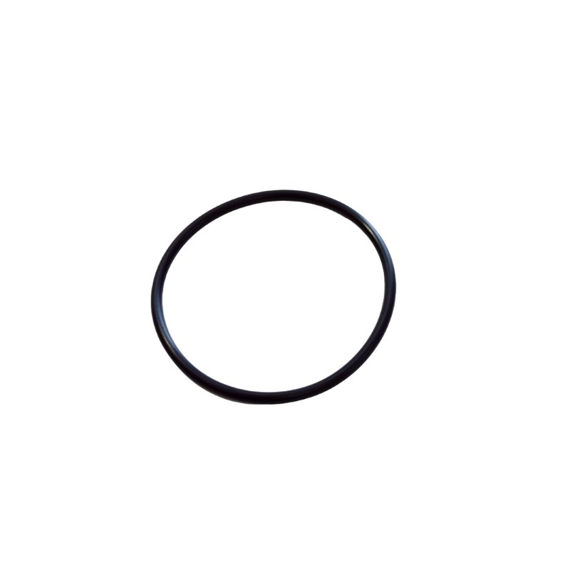 Anello o-ring puleggia 832508 Liberty Carnaby Runner X9