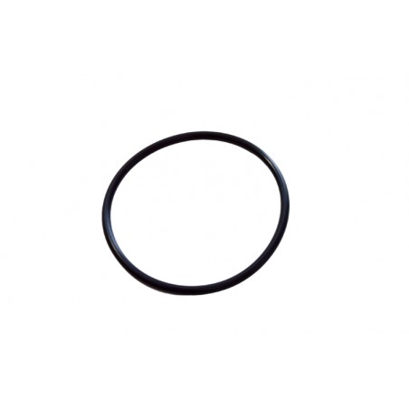 Anello o-ring puleggia 832508 Liberty Carnaby Runner X9